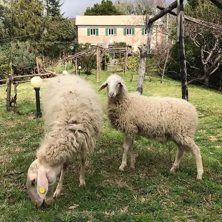 Ostaia Da U Santu Appartments Casa vacanze *