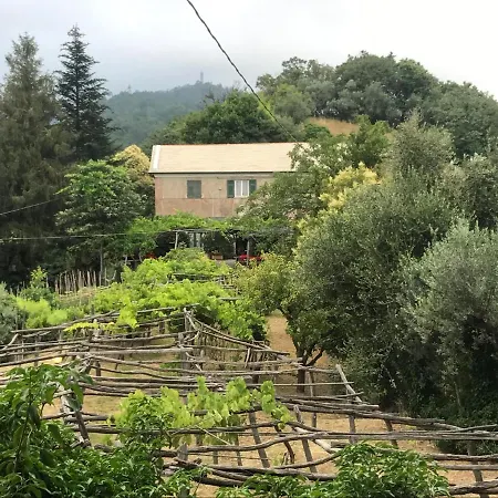 Casa vacanze Ostaia Da U Santu Appartments Genova