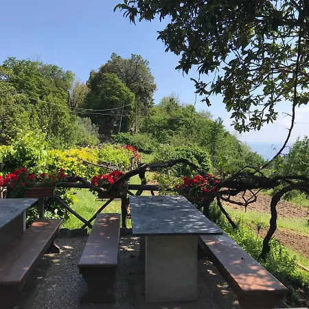 Holiday home Ostaia Da U Santu Appartments